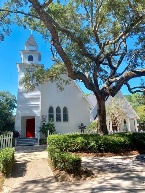 Magnolia Springs, Alabama photo by Dana Kilgore Lloyd Magnolia Springs Alabama, Magic City, Ancient Ruins, Beautiful Beaches, Alabama, Magnolia, Springs, Homecoming, The Neighbourhood