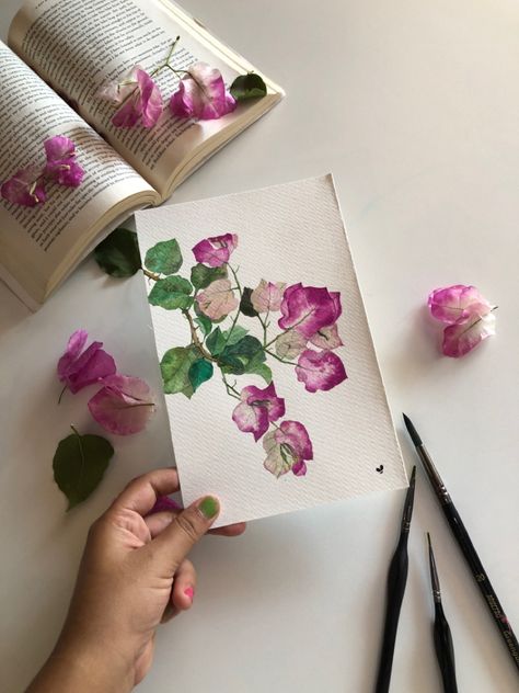 Bougainvillea painted with gouache In cold pressed paper. Watercolour Bougainvillea, Bougainvillea Painting Watercolors, Pressed Flower Watercolor, Bougainvillea Embroidery, Bougainvillea Art, Gouache Florals, Bougainvillea Painting, Bougainvillea Watercolor, Postcard Painting