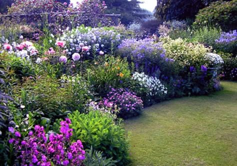 English Flower Garden, Funny Vine, Garden Flowers Perennials, نباتات منزلية, Garden Flower Beds, Cottage Garden Design, Flower Garden Design, Garden Types, Have Inspiration