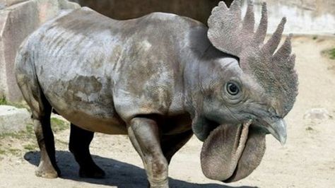 Hybrid Animals | 15 Funky Hybrid Animals That Deserve a Chance at Life Animal Mashups, Photoshopped Animals, Swimming With Dolphins, Funny Artwork, Fake Animals, Short Films, Weird Animals, Weird And Wonderful, Animals Of The World