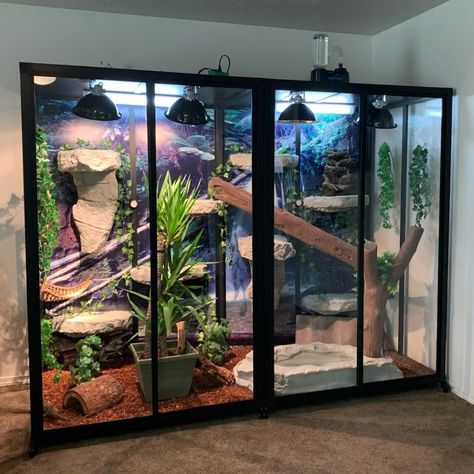 Our Hybrid enclosures are customizable for the needs of every reptile Indoor Animal Enclosures, Reticulated Python Enclosure, Snake Enclosure Ideas Diy, Diy Snake Enclosure, Boa Enclosure, Crested Gecko Habitat, Reptile Tanks, Reptile Store, Snake House