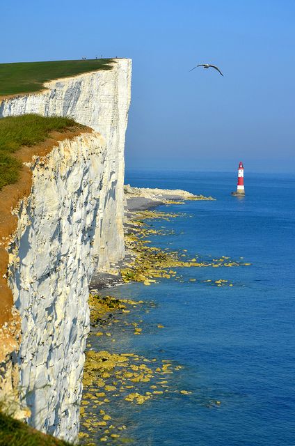 Beachy Head, Sussex, England Keep Smile, Beachy Head, South Downs, Sussex England, Beautiful Lighthouse, England And Scotland, East Sussex, English Countryside, England Travel