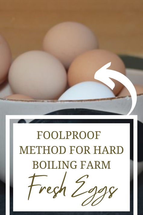 Easy Peel Eggs Hard Boiled, Boiling Fresh Eggs To Peel, How To Hard Boil Farm Fresh Eggs, How To Boil Fresh Eggs So They Peel Easy, Hard Boil Fresh Eggs, Egg Test For Freshness, Meal Presentation, Egg Test, Peeling Boiled Eggs