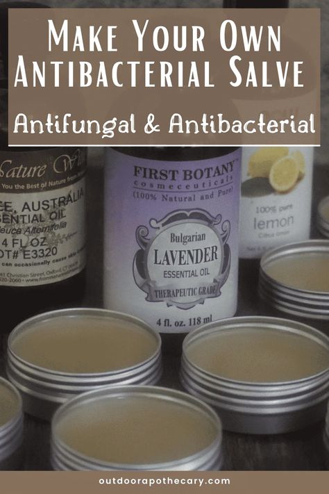 Homemade Antibacterial Salve Homemade Salve Recipes, Homemade Antibiotic, Herbal Salve Recipes, Homemade Salve, Recipe For Beginners, Antifungal Cream, Salve Recipes, Herbal Salves, Healing Salves