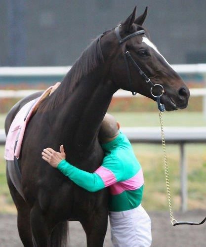 Horse love Farewell My Queen, Zenyatta Horse, Thoroughbred Racehorse, Mike Smith, Sport Of Kings, Race Horses, My Queen, Thoroughbred Horse, Majestic Horse