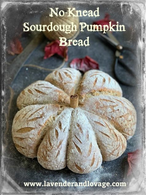 No-Knead Sourdough Pumpkin Bread - Lavender and Lovage Fall Sourdough, Sourdough Pumpkin Bread, Cookies Sourdough, Dried Cranberries Recipes, Pumpkin Sourdough, Sourdough Cookies, Sourdough Pumpkin, Sourdough Starter Discard Recipes, Sourdough Crackers