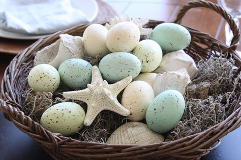 Eggs and seashells, pretty Coastal Easter Decor, Easter Egg Pictures, Springtime Photos, Coastal Holiday, Speckled Eggs, Cottage By The Sea, Coloring Eggs, Spring Easter Decor, Easter Time