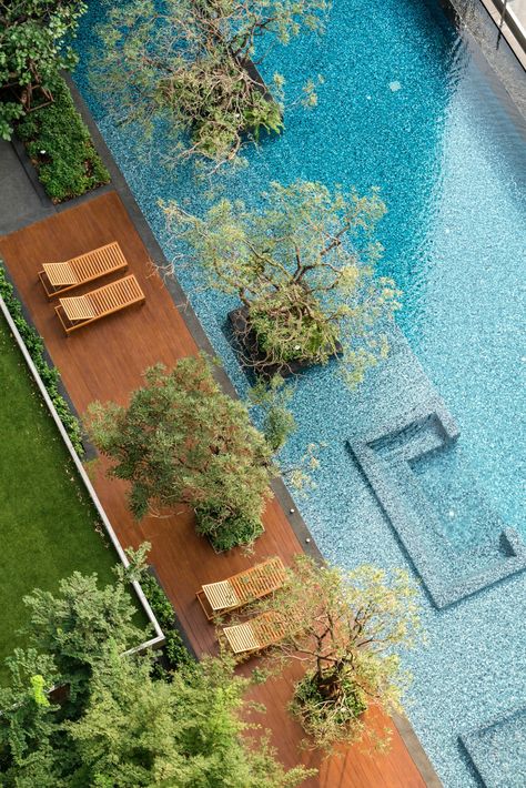 ISSI Condominium by Charn Issara Development Indoor Outdoor Pools, Hotel Landscape, Backyard House, Pool Water Features, Pool Landscape Design, Pool Liners, Pool Garden, Luxury Pools, Water Pool