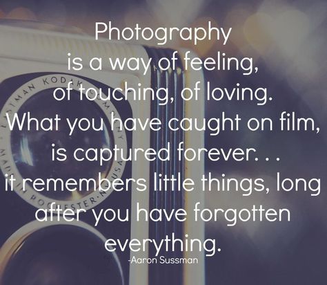 Photography Quotes Passion, Photography Inspiration Quotes, Quotes Passion, Photographer Quotes, Passion Pictures, Camera Quotes, Humor Life, Humor Pictures, Aaron Siskind