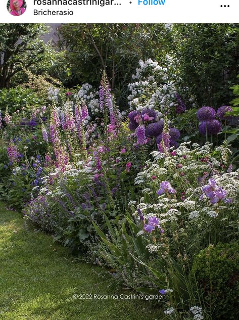 Pretty Garden Borders, Country Garden Borders, British Garden Flowers, New Build Cottage Garden, Pollinator Border, Mixed Borders Gardens, Flower Border Garden, Cottage Garden Design Layout, Garden Border Design