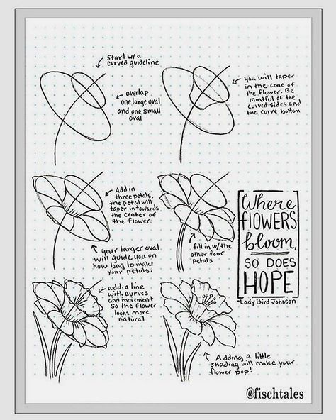 how to draw a flower instructions - Learn how to draw flowers like roses of lilies and turn them into really beautiful wall art. practice flower drawings easy on chalkboard with step-by-step tutorials and easy to follow the instructions and get amazing results! Drawing is relaxing and fun for all ages! #drawings #howtodraw #flowers #wallart #walldecor Hur Man Ritar Blommor, How To Draw Flowers, Arte Doodle, Beauty Drawings, Draw Flowers, Flowers Easy, Flower Drawing Tutorials, Drawing Flowers, Wall Art Crafts