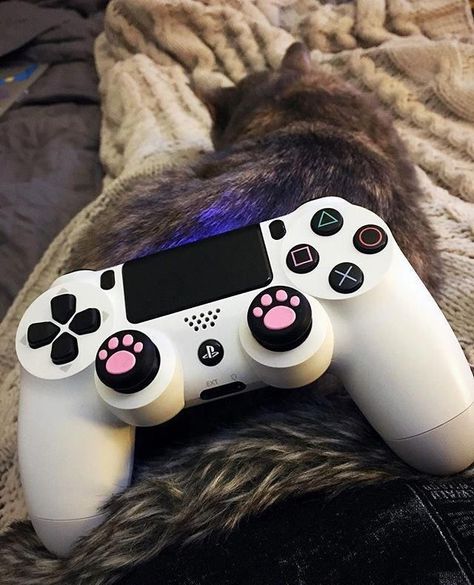 Ps4 Controller Custom, Playstation Controller, Computer Geek, Geek Design, Ps4 Controller, Gaming Room Setup, Disk Drive, Gamer Room, Ps4 Games