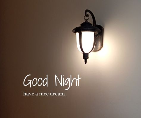 Good Night😴 Good Night Meme, Good Night Cards, Nice Dream, Cute Good Morning Images, Good Night Flowers, Good Night Love Images, Good Morning Flowers Gif, Good Night Friends, Good Night Gif