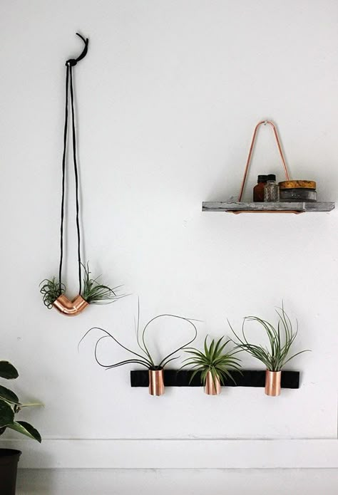 copper airplant holders #homedecor #interiordesign Plants Hanging, Interior Vintage, Support Plante, Copper Diy, Air Plant Holder, Décor Diy, Modern Diy, Plant Wall, A Shelf