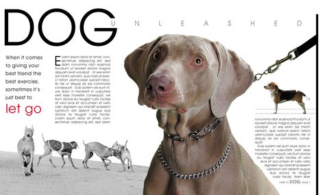 to cute Animal Magazine Design, Dog Magazine Layout, Creative Editorial Design Magazine Spreads, Magazine Double Page Spread, Pet Magazine, Newspaper Design Layout, Animal Magazines, Typography Magazine, Cat Magazine