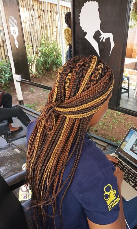 Uzuri tricolor box braids Tricolor Knotless Braids, Fall Color Box Braids Black Women, Tri Color Braids, Multicolored Box Braids, Multicolored Braids Black Women, Box Braids With Different Colors, Multicolor Box Braids, Multi Color Box Braids, Fall Color Box Braids