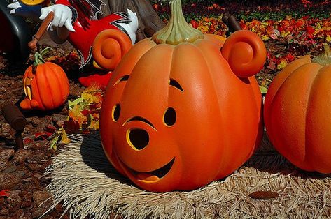 Pooh Pumpkin, Halloween Pumpkin Images, Winnie The Pooh Pumpkin, Winnie The Pooh Halloween, Disney World Halloween, Halloween Crafting, Creative Pumpkin Carving, Pumpkin Images, Pumpkin Contest