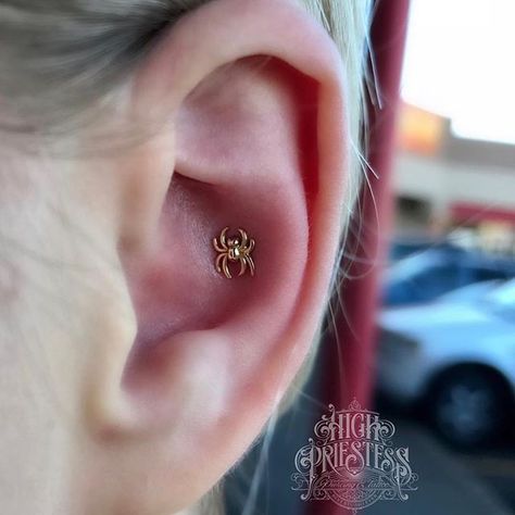 Getting into the Halloween spirit with this gold spider threaded end from @leroifinejewelry Jewelry inserted by jay at @highpriestesssalem  #beststudioever Conch Piercing, Halloween Spirit, Conch, Spirit Halloween, Instagram Feed, Jay, Piercings, Diamond Earrings, Stud Earrings