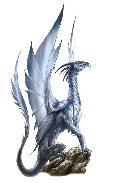 Ancient Silver Dragon, Dragon Inspiration, Dragon Riders, Types Of Dragons, Broken Phone, Creature Fantasy, Ancient Dragon, Dragon Artwork Fantasy, Dragon Rider