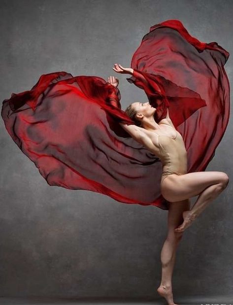 ✿ڿڰۣ(̆̃̃ღ✿ڿڰۣ(̆̃̃ღ Dance Project, Dance Photography Poses, Ballet Art, Dance Movement, Ballet Photography, Royal Ballet, Ballet Beautiful, Dance Company, Dance Photos