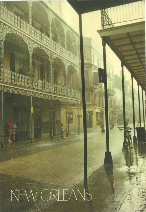 Rain Old New Orleans, Nouvelle Orleans, Liquid Sunshine, French Creole, Louisiana Purchase, French Lifestyle, French Colonial, Colonial Architecture, Sound Of Rain