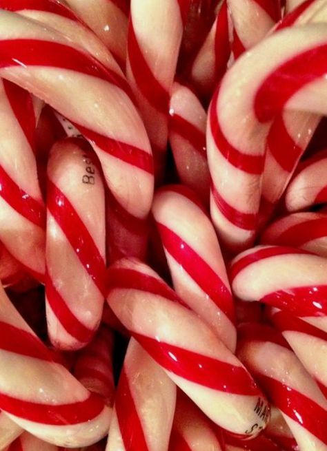 Candy Canes Aesthetic, Peppermint Aesthetic, Candy Cane Aesthetic, Best Christmas Destinations, Strawberry Candy, Christmas Destinations, Christmas Dreaming, Popular Christmas Gifts, Job Tweets