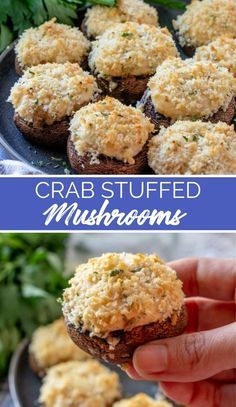 In just 20 minutes, you’ll have these tender crab stuffed mushrooms, oozing with melted cheese and zesty crabmeat. via @familyfresh Seafood Stuffed Mushrooms, Super Easy Appetizers, Mushroom Appetizers, Crab Stuffed Mushrooms, Cheese Stuffed Mushrooms, Crab Meat Recipes, Creamy Crab, Crab Stuffed, Stuffed Mushroom