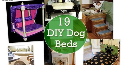 19 cool and unique dog beds for large, medium, and small dogs to buy or DIY Table Dog Bed, End Table Dog Bed, Suitcase Dog Bed, Diy Dog Beds, Dogs Hacks, Dogs Room, Unique Dog Beds, Dog Beds For Large Dogs, Dog Crate Pads