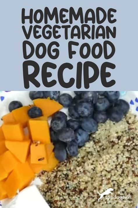 How To Make Homemade Vegetarian Dog Food That Is Healthy Vegetarian Dog Food, Dog Meals, Vegetarian Dog Food Recipe, Diet For Dogs, Home Cooked Dog Food, Dog Food Recipe, Cook Dog Food, Dog Tips, Healthy Dog Food Recipes