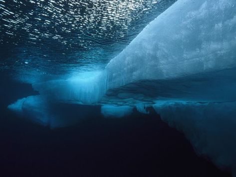 Arctic Mermaid - Mermaid Dreamers Types Of Mermaids, Photos Underwater, Underwater Landscape, Underwater Wallpaper, Mermaid Stories, Underwater Pictures, Arctic Sea, Arctic Ice, Mermaid Aesthetic