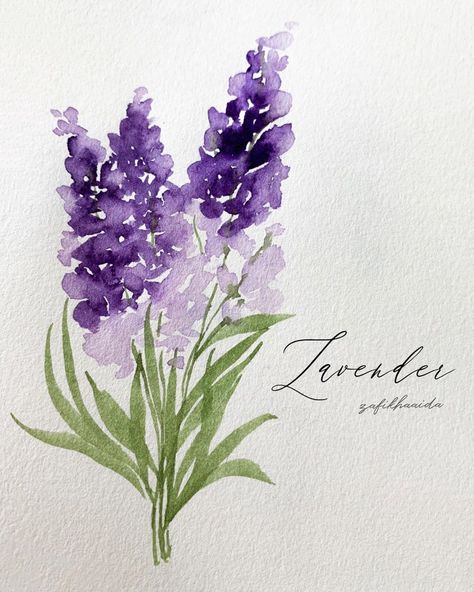 Zafikha Aida on Instagram: “Lavender #artbyzafikha Tutorial : Previous post ➡️ . . . Paint : @sennelier1887 @ @schmincke_official Brush : @silverbrushltd Black Velvet…” Watercolor Lavender Flowers, Purple Flower Watercolor, Lavender Drawing, Lavender Art, Lavender Watercolor, Watercolour Inspiration, Dragonfly Tattoo, Lavender Flower, Watercolor Paintings Easy