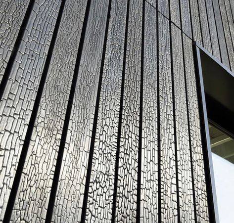 Charred Cladding, Cladding Ideas, Buy Dirt, Larch Cladding, Wooden Facade, Charred Wood, Wood Cladding, Shou Sugi Ban, Timber Cladding