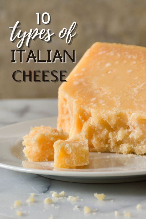 15 Most Famous Italian Cheese Types - About the Best Italian Cheese Home Made Cheese, Famous Italian Dishes, Cheese Types, Four Cheese Pasta, Cheese Ideas, Mozzerella Cheese, Diy Cheese, Cheese Sauce For Pasta, Mediterranean Travel