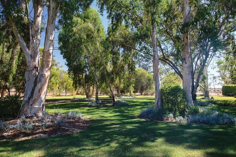 Country Gardens Australia, Acreage Gardens Australia, Rural Gardens Australia, Outback Gardens Australian, Australian Country Garden, Acreage Landscaping Australia, Country Garden Australian, Acreage Gardens, Acreage Landscaping Ideas Country Life