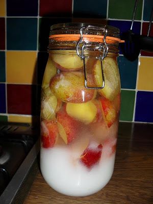 How to make plum vodka, plum rum and probably any other plum based alcohol! Plum rum is yummy! Second hand Susie blog. Plum Moonshine Recipes, Plum Vodka, Infused Liquors, Plum Recipes, Homemade Liquor, Liquor Recipes, Spiced Drinks, Moonshine Recipes, Liqueurs Recipes