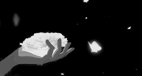 Butterfly Gif, Black And White Gif, Gifs Anime, Flipagram Instagram, Arte 8 Bits, Aesthetic Gifs, Banner Gif, Discord Banner, Discord Pfp