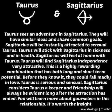 Taurus & Sagisttarius Taurus And Sagittarius, Taurus And Sagittarius Compatibility, Sagittarius And Taurus, Taurus Relationships, Taurus Compatibility, Sagittarius Compatibility, Sagittarius Relationship, Zodiac Sign Taurus, Sagittarius Quotes