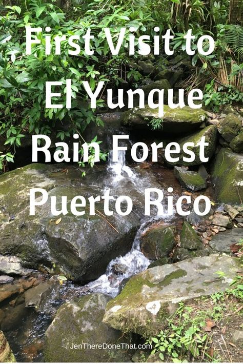 Living In Puerto Rico, Where Is Bora Bora, El Yunque Rainforest, Lanai Island, Puerto Rico Trip, Puerto Rico Vacation, Puerto Rico History, North America Travel Destinations, Porto Rico