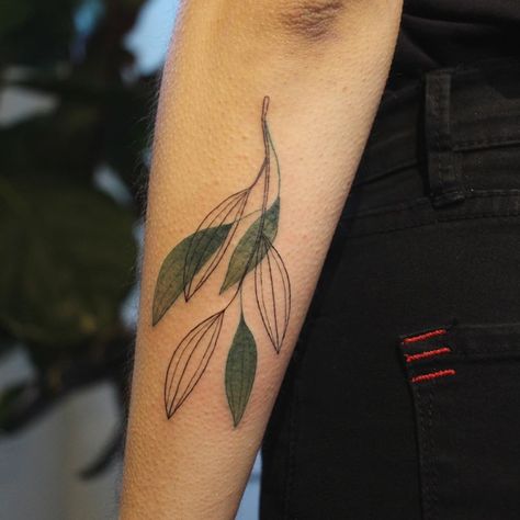 Indian Bay leaf - Taj Patta - for Mithila. Thanks for trusting me with your first tattoo 🌿  Done @twinoakstattoo * * * * * * #tattoo #flash… Bay Leaves Tattoo, Bay Leaf Tattoo, D Tattoos, Tattoo Indian, Leaf Tattoo, Tattoo Cover-up, Bay Leaf, Cover Up Tattoo, Bay Leaves