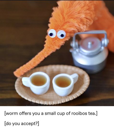 Worm Tea, Pinterest Funny, Rooibos Tea, Chapter 3, Dress Up, Tea, Orange