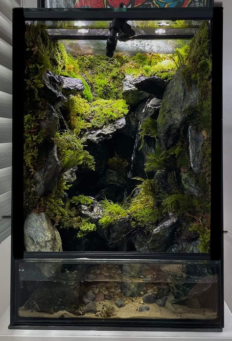 Paladarium Design, Waterfall Paludarium, Paludarium Aquarium, Paludarium Waterfall, Terrarium Waterfall, Terrarium Ideas Unique, Terrariums Ideas, Paludarium Vivarium, Paludarium Ideas