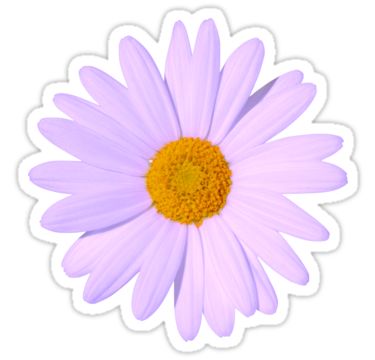 "Purple Daisy" Stickers by happyvalleygirl | Redbubble Daisy Purple, Daisy Sticker, Hamilton Wallpaper, Homemade Stickers, Snapchat Stickers, Butterfly Printable, Bubble Stickers, Macbook Stickers, Purple Daisy