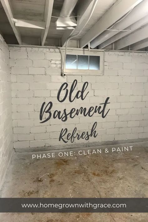 Basement Remodel On A Budget Unfinished, Old House Basement Ideas, Basement Diy Unfinished, Unfinished Basement Organization Ideas, Diy Basement Renovation, Unfinished Basement Paint Ideas, Dingy Basement Makeover, Budget Friendly Basement Remodel, Cheap Finished Basement Ideas