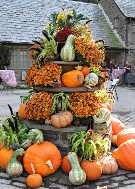 Garden Center Fall Displays, Front Of A House, Pumpkin Cottage, Fall Displays, Hay Ride, Autumn Florals, Pumpkins And Gourds, Pumpkin Stand, Vintage Fall Decor