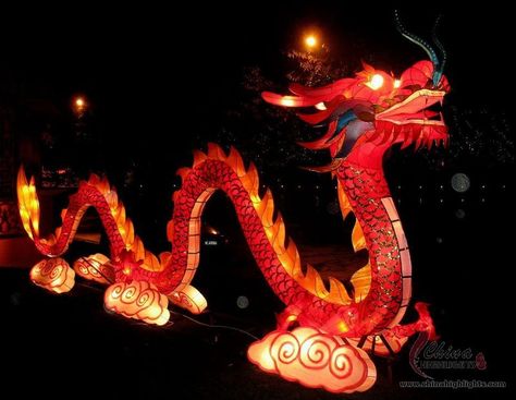 Lantern+Festival | chinese lantern festival 28 chinese lantern festival artsonearth com Dragon Lantern, Cake Festival, Chinese Party, Chinese Lantern Festival, Mooncake Festival, Chinese Theme, Living Room Transformation, Sushi Party, Chinese Lantern