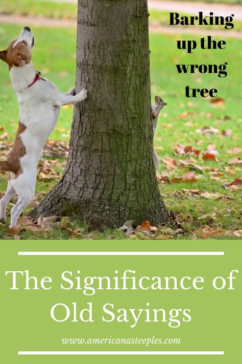 Are you a fan of old sayings and adages?  Do you remember your parents saying things like "the early bird catches the worm"?  The stories behind these old sayings and proverbs can be interesting as well as difficult to nail down.  This delightful read about old sayings is a must.  #americanasteeples  #oldsayings  #adages  #proverbs Old Time Sayings, Wise Old Sayings, Old Sayings, Early Bird Catches The Worm, Strong Marriage, Close Relationship, Old Quotes, African Countries, Christian Blogs