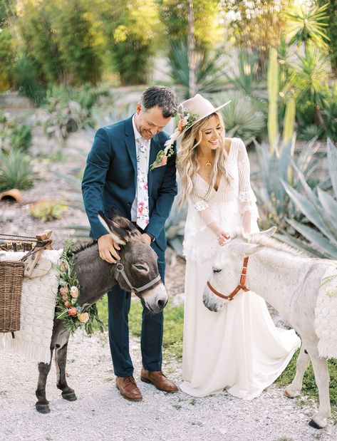 Well-Dressed Donkeys (aka Beer Burros!) Stole the Show in this Southwestern Wedding Inspiration - Green Wedding Shoes Beer Burro Wedding, Animals At Weddings, Beer Donkey Wedding, Beer Donkey, Donkey Wedding, Beer Burro, Cotton Wedding Dresses, Southwestern Wedding, Equestrian Wedding