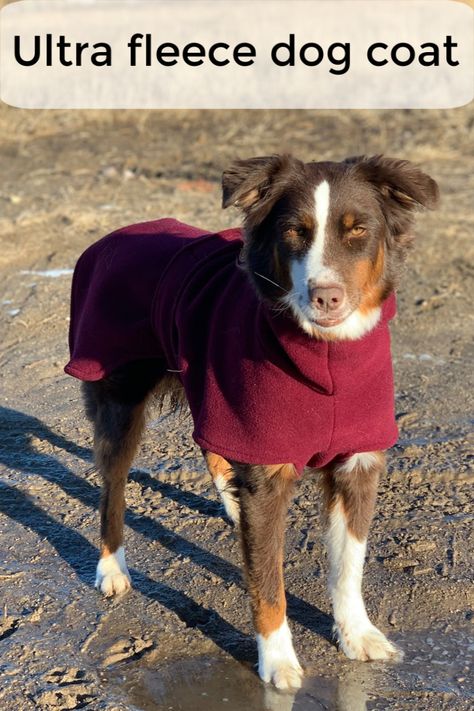 These fleece dog coats are made of Polartec 300 fleece so they're super soft, warm and water resistant. Made custom just for your dog. Diy Dog Coat, Large Dog Coats, Dog Coat Pattern, Fleece Dog Coat, Dog Clothes Diy, Fleece Patterns, Dog Enrichment, Dog Fleece, Dog Information