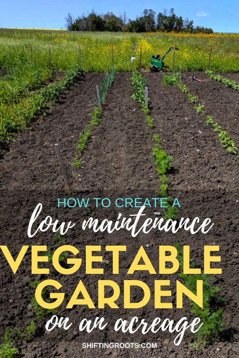 How to Create a Low Maintenance Vegetable Garden on an Acreage or Homestead | Shifting Roots Acreage Garden Ideas, Large Vegetable Garden Ideas, Large Garden Plans, Large Vegetable Garden Design, Landscaping Large Acreage, Large Garden Design Layout, Large Garden Layout, Large Vegetable Garden Layout, Acreage Gardens