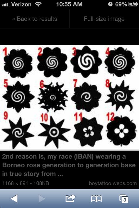 Borneo rose variations Iban Tattoo, Tato Tradisional, Borneo Tattoo, Filipino Tattoos, Flower Tattoo Meanings, Polynesian Tattoos, Men Tattoos, Warrior Tattoos, Warrior Tattoo